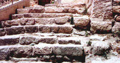 Actual Steps Jesus Walked after Trial before Caiaphas (Photo by Lyn - June 2000)